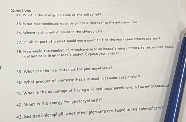 What is the energy molecule of the cell called? 
35. What macromolecule made by plants is "burned" in the mitochondria? 
36. Where is chlorophyli found in the chloroplast? 
37. In which part of a plant would you expect to find the most chloroplasts and why? 
38. How would the number of mitochondria in an insect's wing compare to the amount found 
in other cells in an insect's body? Explain your answer. 
39. What are the raw materials for photosynthesis? 
40. What product of photosynthesis is used in cellular respiration? 
41. What is the advantage of having a folded inner membrane in the mitochondria? 
42. What is the energy for photosynthesis? 
43. Besides chlorophyll, what other pigments are found in the chloroplasts?