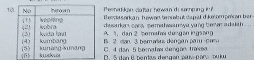 1Perhatikan daftar hewan 'di samping ini!
Berdasarkan hewan tersebut dapat dikelompokan ber-
dasarkan cara pernafasannya yang benar adalah ...
A. 1, dan 2 bernafas dengan ingsang
B. 2 dan 3 bernafas dengan paru -paru
C. 4 dan 5 bernafas dengan trakea
D. 5 dan 6 benfas dengan paru-paru buku