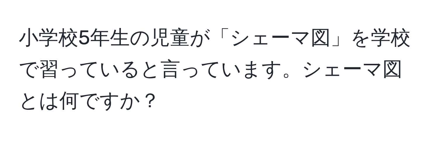 小学校5年生の児童が「シェーマ図」を学校で習っていると言っています。シェーマ図とは何ですか？