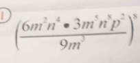 1 ( 6m^2n^4· 3m^5n^8p^2/9m^3 )^8