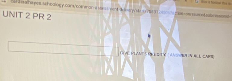 this is formal this is 
cardinalhayes.schoology.com/common-assessment-delivery/stan/7583124506?sction=onresume&subrission1d= 
UNIT 2 PR 2 
GIVE PLANTS RIGIDITY ( ANSWER IN ALL CAPS)