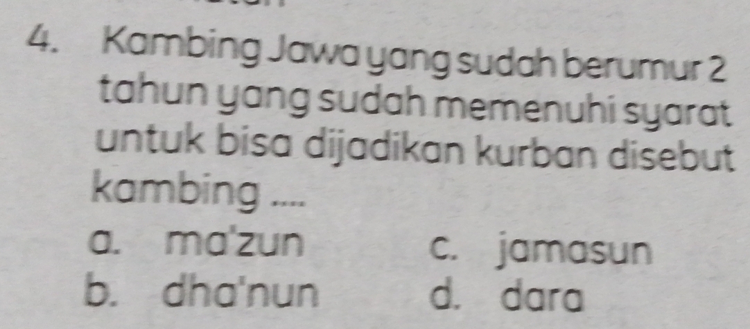 Kambing Jawa yang sudah berumur 2
tahun yang sudah memenuhi syarat 
untuk bisa dijadikan kurban disebut
kambing ....
a. ma'zun c. jamasun
b. dha'nun d. dara