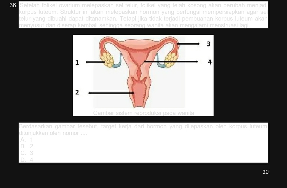 Setelah folikel ovarium melepaskan sel telur, folikel yang telah kosong akan berubah menjadi
korpus luteum. Struktur ini akan melepaskan hormon yang berfungsi mempersiapkan agar sel
telur yang dibuahi dapat ditanamkan. Tetapi jika tidak terjadi pembuahan korpus luteum akan
menyusut dan diserap kembali sehingga seorang wanita akan mengalami menstruasi lagi.
Berdasarkan gambar tesebut, target kerja dari hormon yang dilepaskan oleh korpus luteum
ditunjukkan oleh nomor ....
A. 1
B. 2
C. 3
D. 4
20