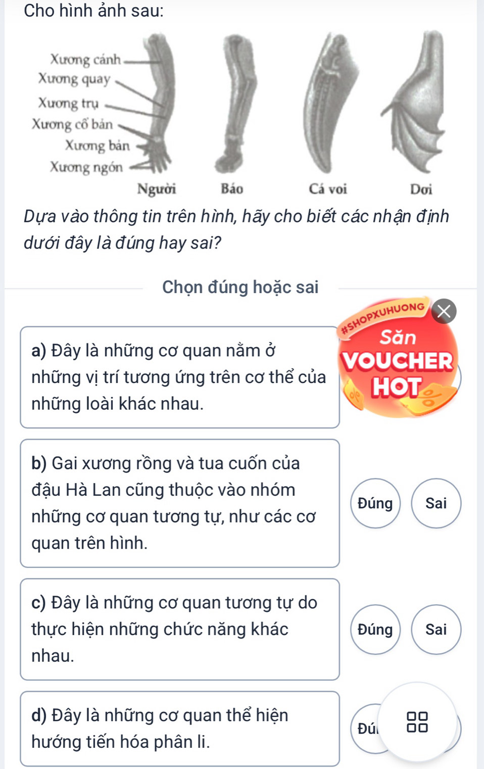 Cho hình ảnh sau:
Dựa vào thông tin trên hình, hãy cho biết các nhận định
dưới đây là đúng hay sai?
Chọn đúng hoặc sai
#SHOPXUHUONG
Săn
a) Đây là những cơ quan nằm ở
VOUCHER
những vị trí tương ứng trên cơ thể của HOT
những loài khác nhau.
b) Gai xương rồng và tua cuốn của
đậu Hà Lan cũng thuộc vào nhóm
Đúng Sai
những cơ quan tương tự, như các cơ
quan trên hình.
c) Đây là những cơ quan tương tự do
thực hiện những chức năng khác Đúng Sai
nhau.
d) Đây là những cơ quan thể hiện
Đú
hướng tiến hóa phân li.