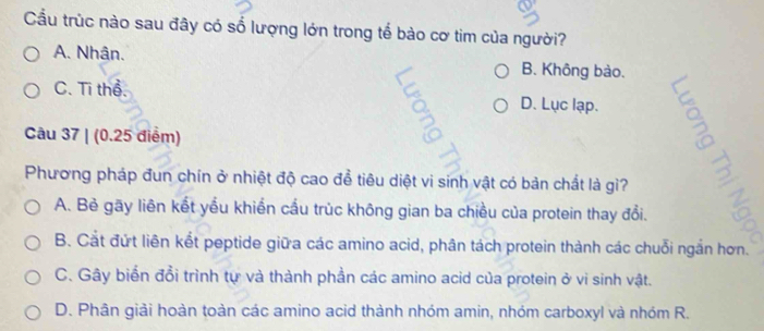 Cầu trùc nào sau đây có số lượng lớn trong tế bào cơ tim của người?
A. Nhân. B. Không bào.
C. Ti thể. D. Lục lạp.
Câu 37 | (0.25 điểm)
Phương pháp đun chín ở nhiệt độ cao để tiêu diệt vi sinh vật có bản chất là gì?
A. Bè gãy liên kết yểu khiến cầu trúc không gian ba chiều của protein thay đổi.
B. Cắt đứt liên kết peptide giữa các amino acid, phân tách protein thành các chuỗi ngắn hơn.
C. Gây biển đổi trình tự và thành phần các amino acid của protein ở vi sinh vật.
D. Phân giải hoàn toàn các amino acid thành nhóm amin, nhóm carboxyl và nhóm R.