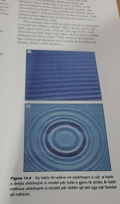 natshi. Shutra apo knji qê 
likumdet i shryn molekulat e ujit lart e poshté. Secila 
prej molekalave térheq fqinjêt e vet lart e poshté. Ato 
nd ti vêné né lévisje fqinjêt e tyre e késha me rradhê. Kjo tê 
né é kujton zogitê e detit qê koloviten né det té trazuar. Valêt 
kalojnë pranë zogive, por ata thjesht zlwendosen lart e 
mene poshté né sipérfaqen e unt 
Po si munden kēto tablo tê valève nê ujê tê shérbejné 
si model për sjelljen e dritës? Valét e drejta janë st një 
tufé e gierë drite, p.sh., drita që vịen nga Dielli. Valët 
zlvendosen drejt néper ujë, ashtu sikurse dritx e Diellit 
përhapet né vijë tế drejtë. Valët rrethore që krijohen 
nga një kunj që lekundet janë sĩ drita qé prodhon një 
llambë, (Kunji është llamba.) 
ke. 
b 
Figura 14.4 Dy tablo të valëve në sipërfaqen e ujit. a Valët 
e drejta shërbejnë si model për tufat e gjera të dritës. b Valët 
rrethore shërbejnë si model për dritën që del nga një llambë 
që ndriçon.