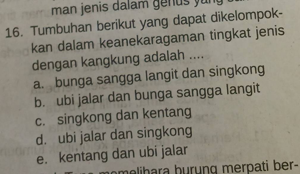 man jenis dalam genus yung 
16. Tumbuhan berikut yang dapat dikelompok-
kan dalam keanekaragaman tingkat jenis
dengan kangkung adalah ....
a. bunga sangga langit dan singkong
b. ubi jalar dan bunga sangga langit
c. singkong dan kentang
d. ubi jalar dan singkong
e. kentang dan ubi jalar
om eli bara burung merpati ber-