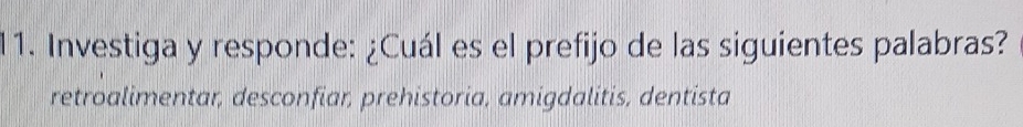 Investiga y responde: ¿Cuál es el prefijo de las siguientes palabras?
retroalimentar, desconfiar, prehistoria, amigdalitis, dentista