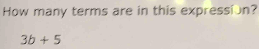 How many terms are in this expression?
3b+5