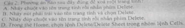 Cầu 2: Phương án nào sau đây đùng để xoá một trang tính?
A. Nháy chuột vào tên trang tinh rồi nhấn phim Delete.
B. Nhảy nút phải trái vào tên trang tính và chọn Delete.
C. Nháy đúp chuột vào tên trang tính rồi nhấn phim Delete.
D. Trong thẻ Home, chợn lệnh Delete/Delete Sheet trong nhóm lệnh Cells.