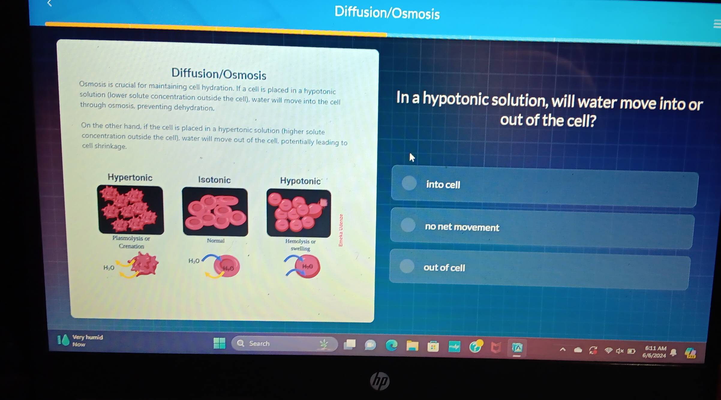 Diffusion/Osmosis
Diffusion/Osmosis
Osmosis is crucial for maintaining cell hydration. If a cell is placed in a hypotonic
solution (lower solute concentration outside the cell), water will move into the cell
In a hypotonic solution, will water move into or
through osmosis, preventing dehydration.
out of the cell?
On the other hand, if the cell is placed in a hypertonic solution (higher solute
concentration outside the cell), water will move out of the cell, potentially leading to
cell shrinkage.
into cell
no net movement
out of cell
Very humid Search
Now