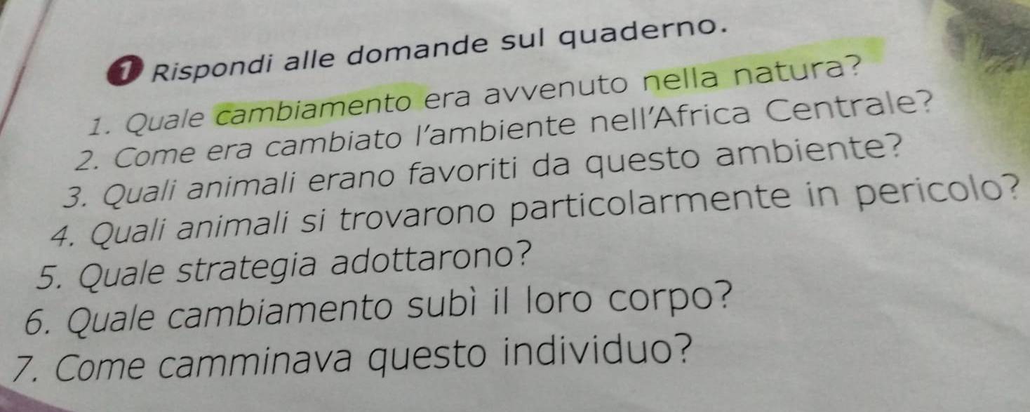 Rispondi alle domande sul quaderno. 
1. Quale cambiamento era avvenuto nella natura? 
2. Come era cambiato l’ambiente nell'Africa Centrale? 
3. Quali animali erano favoriti da questo ambiente? 
4. Quali animali si trovarono particolarmente in pericolo? 
5. Quale strategia adottarono? 
6. Quale cambiamento subì il loro corpo? 
7. Come camminava questo individuo?