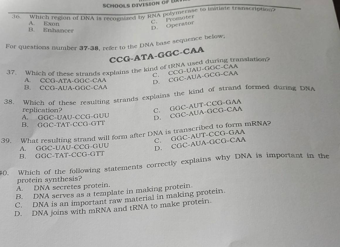 SCHOOLS DIVISION OF DA
36. Which region of DNA is recognized by RNA polymerase to initiate transcription?
A. Exon
C. Promoter
B. Enhancer
D. Operator
For questions number 37-38. refer to the DNA base sequence below;
CCG-ATA-GGC-CAA
37. Which of these strands explains the kind of tRNA used during translation?
C. CCG-UAU-GGC-CAA
A. CCG-ATA-GGC-CAA
D. CGC-AUA-GCG-CAA
B. CCG-AUA-GGC-CAA
38. Which of these resulting strands explains the kind of strand formed during DNA
replication?
C. GGC-AUT-CCG-GAA
A. GGC-UAU-CCG-GUU
D. CGC-AUA-GCG-CAA
B. GGC-TAT-CCG-GTT
39. What resulting strand will form after DNA is transcribed to form mRNA?
C. GGC-AUT-CCG-GAA
A. GGC-UAU-CCG-GUU
D. CGC-AUA-GCG-CAA
B. GGC-TAT-CCG-GTT
40. Which of the following statements correctly explains why DNA is important in the
protein synthesis?
A. DNA secretes protein.
B. DNA serves as a template in making protein.
C. DNA is an important raw material in making protein.
D. DNA joins with mRNA and tRNA to make protein.