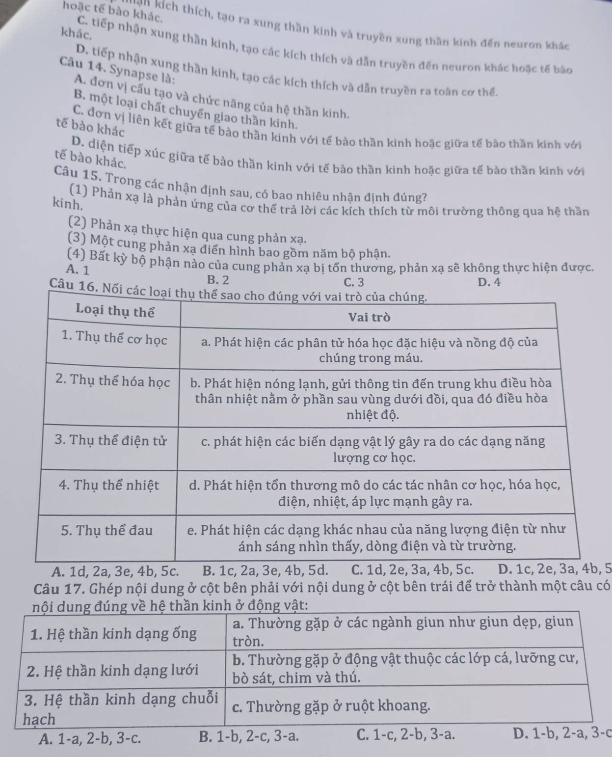 hoặc tế bào khác.
' '''n  kích thích, tạo ra xung thần kinh và truyền xung thần kinh đến neuron khác
khác.
C. tiếp nhận xung thần kinh, tạo các kích thích và dẫn truyền đến neuron khác hoặc tế bào
Câu 14. Synapse là:
D. tiếp nhận xung thần kinh, tạo các kích thích và dẫn truyền ra toàn cơ thể.
A. đơn vị cấu tạo và chức năng của hệ thần kinh.
B. một loại chất chuyển giao thần kinh.
tế bào khác
C. đơn vị liên kết giữa tế bào thần kinh với tế bào thần kinh hoặc giữa tế bào thần kinh với
tế bào khác.
D. diện tiếp xúc giữa tế bào thần kinh với tế bào thần kinh hoặc giữa tế bào thần kinh với
Câu 15. Trong các nhận định sau, có bao nhiêu nhận định đúng?
(1) Phản xạ là phản ứng của cơ thể trả lời các kích thích từ môi trường thông qua hệ thần
kinh.
(2) Phản xạ thực hiện qua cung phản xạ.
(3) Một cung phản xạ điển hình bao gồm năm bộ phận.
(4) Bất kỳ bộ phận nào của cung phản xạ bị tổn thương, phản xạ sẽ không thực hiện được.
A. 1
B. 2 C. 3 D. 4
Câu 1
A. 1d, 5
Câu 17. Ghép nội dung ở cột bên phải với nội dung ở cột bên trái để trở thành một câu có
A. 1-a, 2-b, 3-c. B. 1-b, 2-c, 3-a. C. 1-c, 2-b, 3-a. D. 1-b, 2-a, 3-c