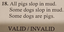 All pigs slop in mud. 
Some dogs slop in mud. 
Some dogs are pigs. 
VALID / INVALID