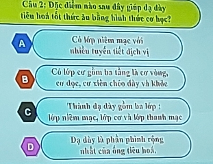 Câu 2; Dặc điệm nào sau dây giúp dạ dày
tiểu hoá tốt thức ău bằng hình thức cơ học?
Có lớp niêm mạc với
A nhiều tuyến tiết địch vị
B Có lớp cơ gồm ba tầng là cơ vòng,
cơ dọc, cơ xiên chéo dày và khỏe
Thành đạ dày gồm ba lớp ;
C lớp niêm mạc, lớp cơ và lớp thanh mạc
Dạ dày là phần phình rộng
D nhật của ống tiêu hoá,