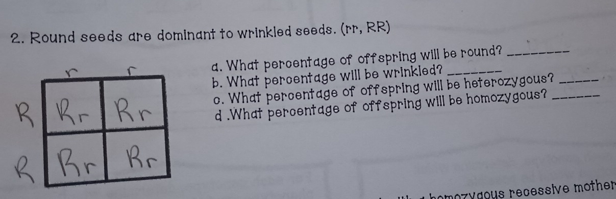 Round seeds are dominant to wrinkled seeds. (rr, RR) 
a. What percentage of offspring will be round?_ 
b. What percentage will be wrinkled?_ 
c. What percentage of offspring will be heterozygous?__ 
d .What percentage of offspring will be homozygous? 
homozyœous recessive mother