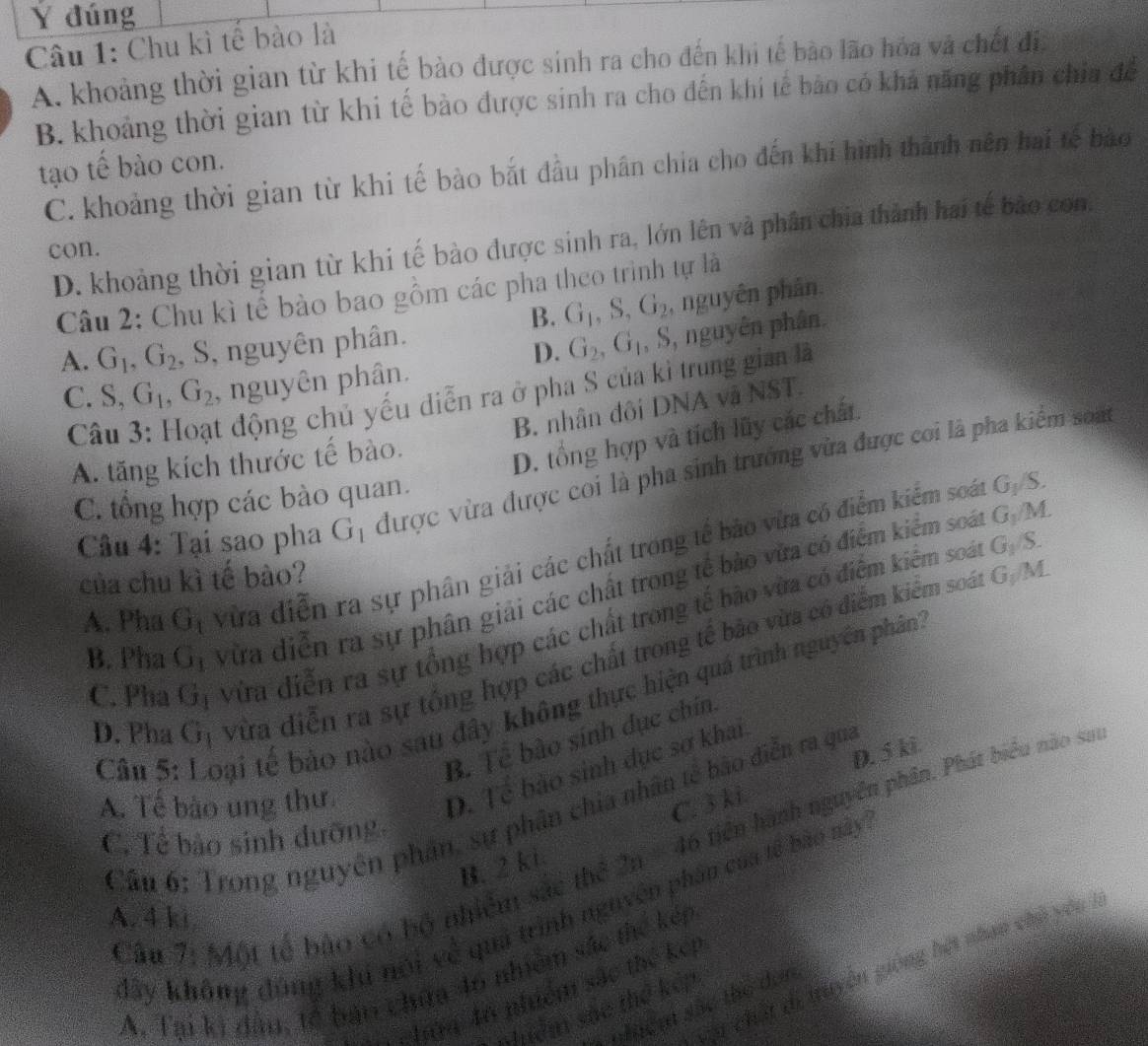 Ý đúng
Câu 1: Chu kì tể bào là
A. khoảng thời gian từ khi tế bào được sinh ra cho đến khi tế bảo lão hóa và chết đi
B. khoảng thời gian từ khi tế bào được sinh ra cho đến khí tế bảo có khả năng phân chia để
tạo tế bào con.
C. khoảng thời gian từ khi tế bào bắt đầu phân chia cho đến khi hình thành nên hai tế bào
D. khoảng thời gian từ khi tế bào được sinh ra, lớn lên và phân chia thành hai tế bào con,
con.
Câu 2: Chu kì tế bào bao gồm các pha theo trình tự là
B. G_1,S,G_2 , nguyên phân.
A. G_1,G_2 , S, nguyên phân.
D. G_2,G_1 , S, nguyên phân.
C. S,G_1,G_2 , nguyên phân.
C
t động chủ yếu diễn ra ở pha S của kì trung gian là
B. nhân đôi DNA và NST.
A. tăng kích thước tế bào.
D. tổng hợp và tích lũy các chất.
Câu 4: Tại sao pha G_1 được vừa được coi là pha sinh trưởng vừa được coi là pha kiểm soat
C. tổng hợp các bào quan.
A. Pha G_1 vừa diễn ra sự phân giải các chất trong tế bảo vừa có điểm kiểm soát
C_1 t/S.
của chu kì tế bào?
B. Pha G_1 vừa diễn ra sự phân giải các chất trong tế bảo vừa có điểm kiểm soát G./M
C. Pha G_1 vừa diễn ra sự tổng hợp các chất trong tế bão vừa có điểm kiểm soát G / S
D. Pha G_1 vừa điễn ra sự tổng hợp các chất trong tế bảo vừa có điểm kiểm soát G/M
Câu 5: Loại tế bảo nào sau đây không thực hiện quá trình nguyên phân
B. Tề bào sinh dục chín.
A. Tế bào ung thư.
D. Tề bảo sinh dục sợ khai
C. 3 ki D. 5 ki
Cầu 6: Trong nguyên phân, sự phân chia nhân tế bão điễn ra qua
C. Tể bảo sinh đưỡng
Cầu 7: Một tế bảo có bộ nhiệm sắc thể 2n - 46 tiền hành nguyên phần. Phát biểu nào sa
B. 2 ki
đây không đúng khi nói về quả trình nguyên phân của tế bào này
A.4 k
cn chất di truyền giống hết nhan chủ yên 
A. Tại ki đâu, tế bản chứa 46 nhiêm sắc thể kếp
Ayg An phiêm sắc thể kếp
nem sắc the dơn
shiểm sắc thể kếp