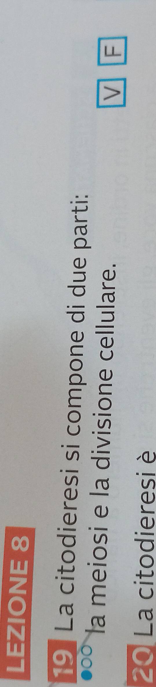 LEZIONE 8 
19 La citodieresi si compone di due parti: 
la meiosi e la divisione cellulare. 
V F
20 La citodieresi è