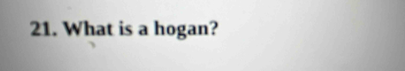 What is a hogan?