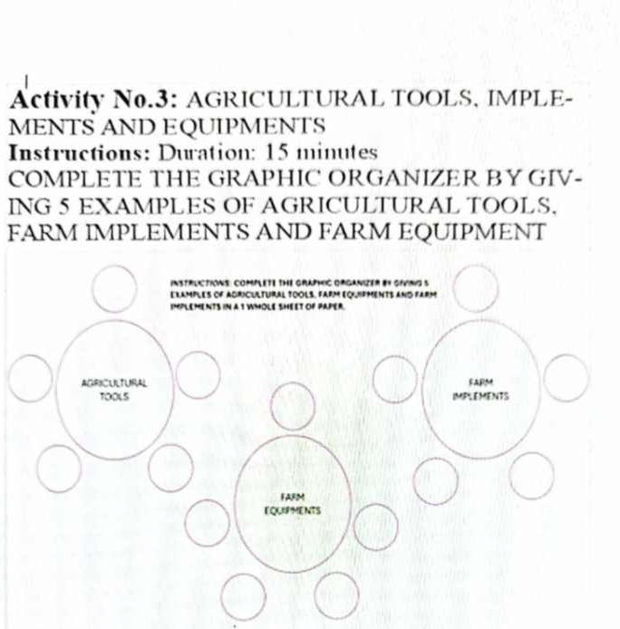 Activity No.3: AGRICULTURAL TOOLS, IMPLE- 
MENTS AND EQUIPMENTS 
Instructions: Duration: 15 minutes
COMPLETE THE GRAPHIC ORGANIZER BY GIV- 
ING 5 EXAMPLES OF AGRICULTURAL TOOLS. 
FARM IMPLEMENTS AND FARM EQUIPMENT