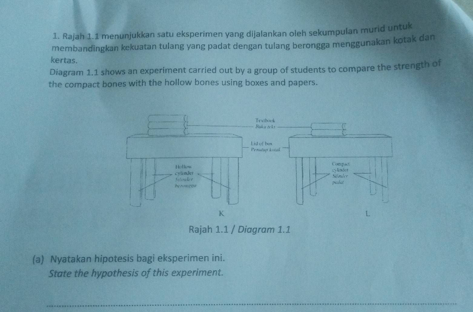 Rajah 1.1 menunjukkan satu eksperimen yang dijalankan oleh sekumpulan murid untuk 
membandingkan kekuatan tulang yang padat dengan tulang berongga menggunakan kotak dan 
kertas. 
Diagram 1.1 shows an experiment carried out by a group of students to compare the strength of 
the compact bones with the hollow bones using boxes and papers. 
Rajah 1.1 / Diagram 1.1 
(a) Nyatakan hipotesis bagi eksperimen ini. 
State the hypothesis of this experiment. 
_