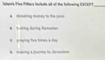 islam's Five Pillars include all of the following EXCEPT_
A donating money to the poor
B Thsting during Ramadan
praying live times a day
B making a journey to Jerusalem