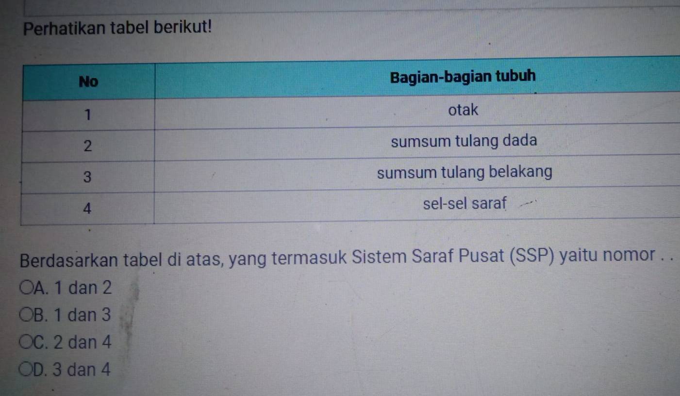 Perhatikan tabel berikut!
Berdasarkan tabel di atas, yang termasuk Sistem Saraf Pusat (SSP) yaitu nomor . .
A. 1 dan 2
B. 1 dan 3
C. 2 dan 4
D. 3 dan 4