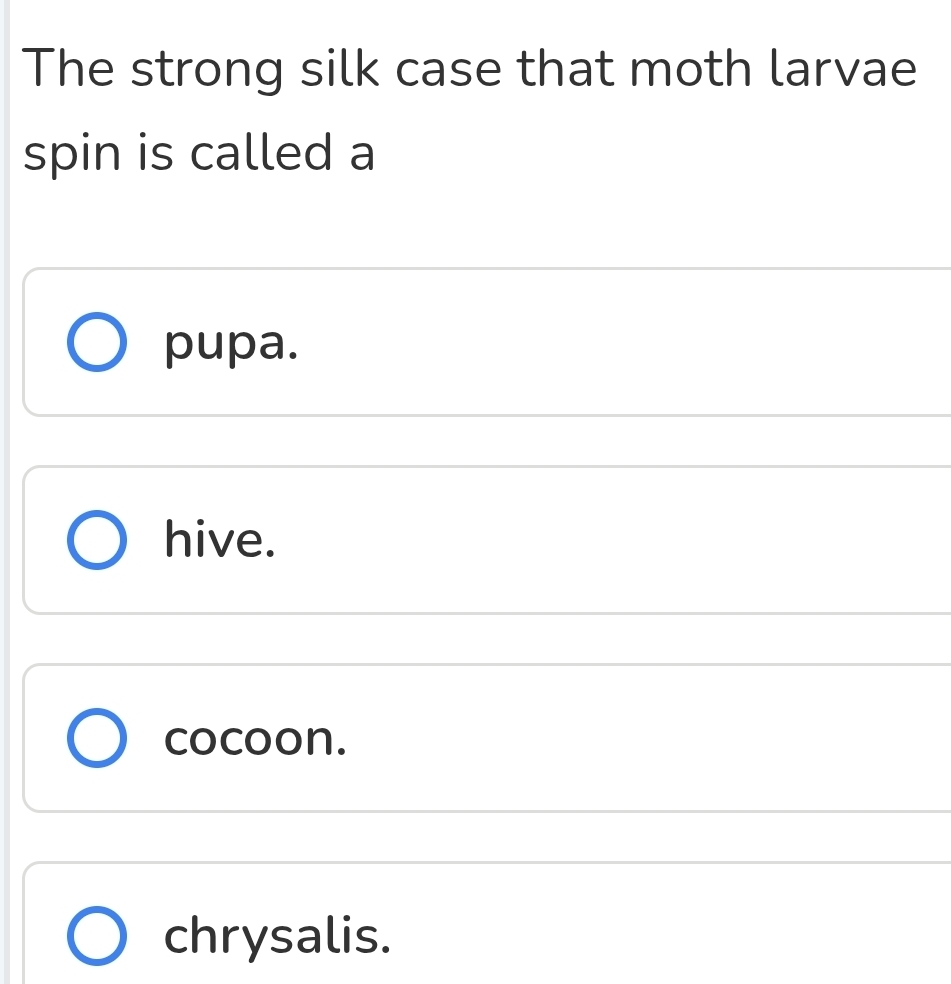 The strong silk case that moth larvae
spin is called a
pupa.
hive.
cocoon.
chrysalis.