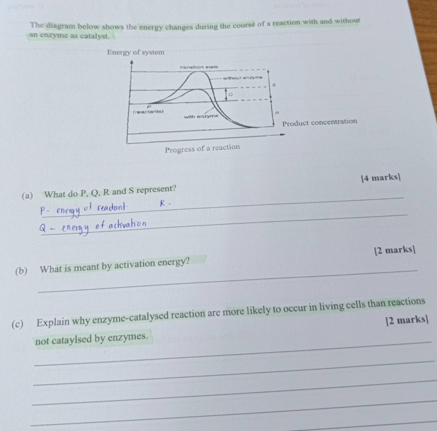 The diagram below shows the energy changes during the course of a reaction with and without 
an enzyme as catalyst. 
Energy of system 
transition state 
without enzyme
s
p
(reactants) 
A 
with enzyme 
Product concentration 
Progress of a reaction 
_ 
(a) What do P, Q, R and S represent? [4 marks] 
_ 
_ 
(b) What is meant by activation energy? [2 marks] 
(c) Explain why enzyme-catalysed reaction are more likely to occur in living cells than reactions 
_ 
not cataylsed by enzymes. [2 marks] 
_ 
_ 
_ 
_