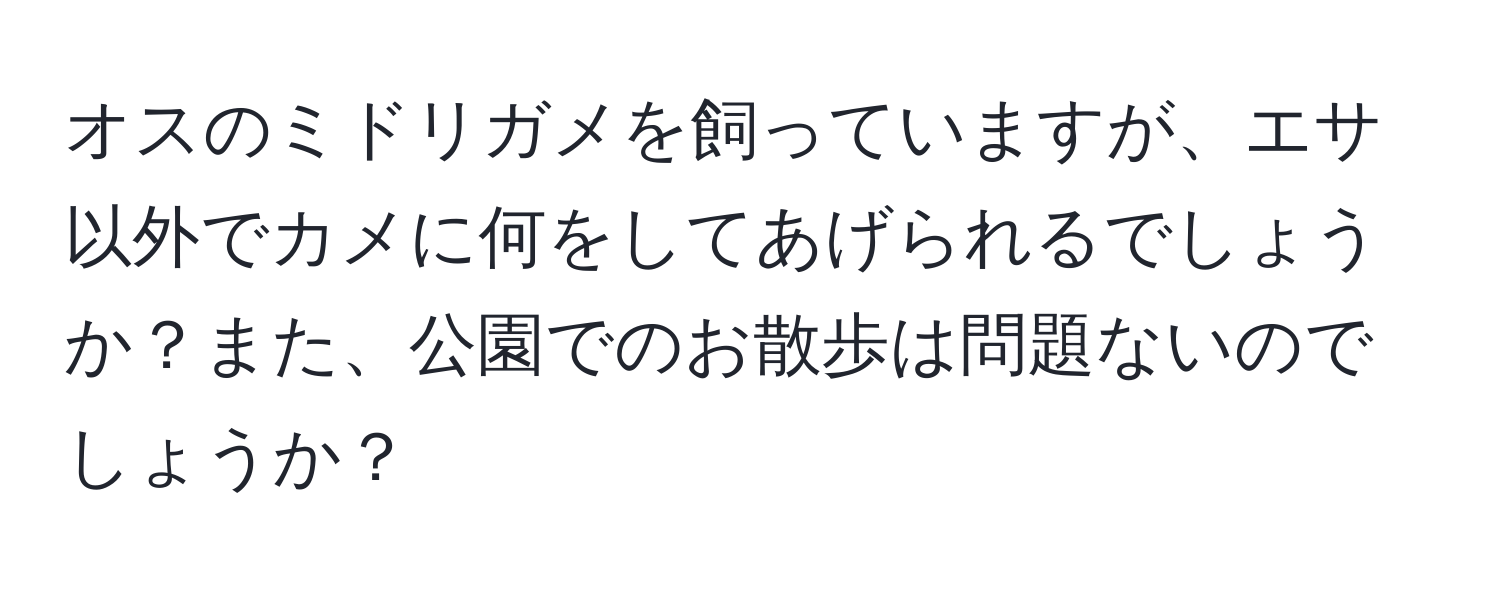 オスのミドリガメを飼っていますが、エサ以外でカメに何をしてあげられるでしょうか？また、公園でのお散歩は問題ないのでしょうか？