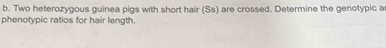 Two heterozygous guinea pigs with short hair (Ss) are crossed. Determine the genotypic ar 
phenotypic ratios for hair length.