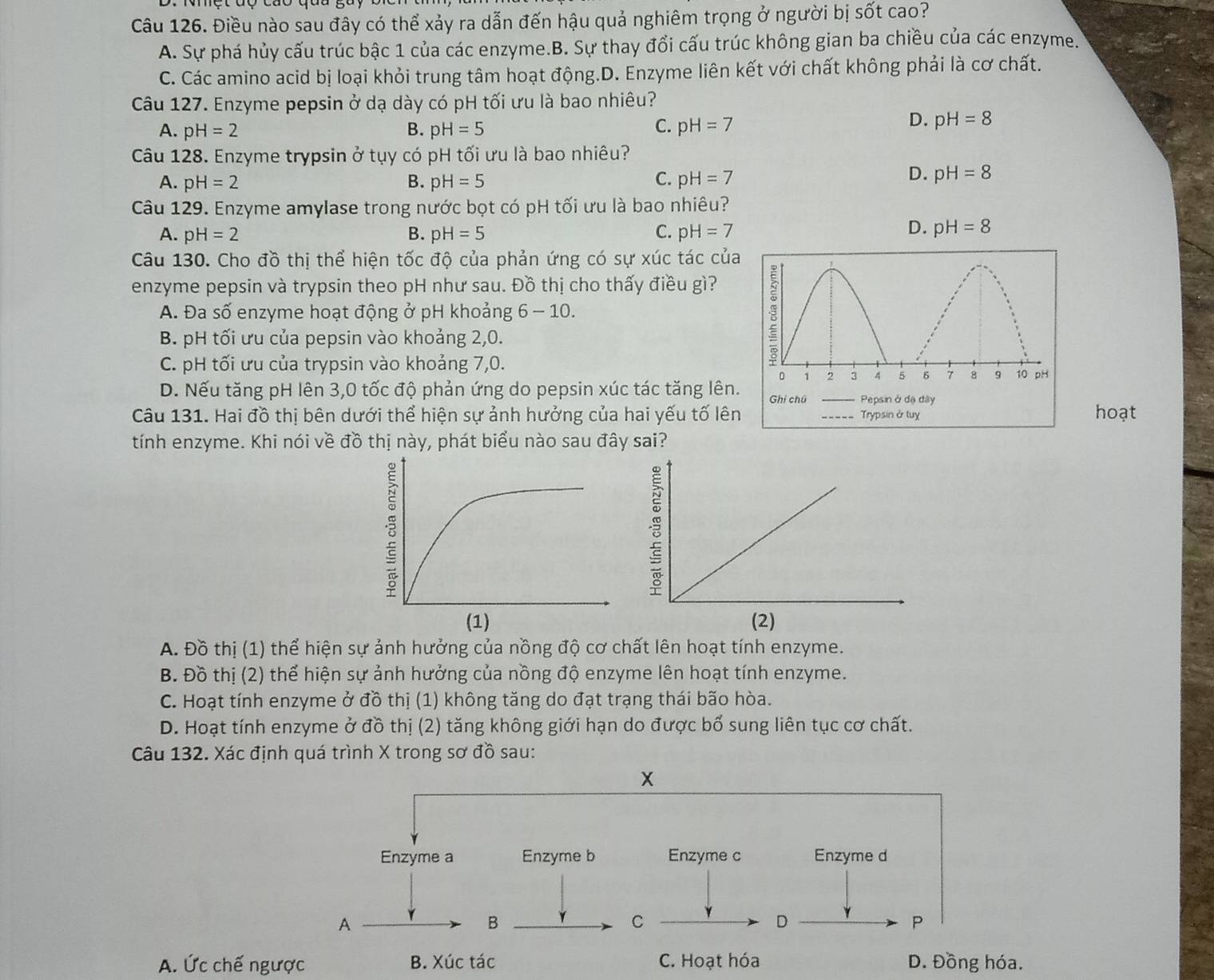 Điều nào sau đây có thể xảy ra dẫn đến hậu quả nghiêm trọng ở người bị sốt cao?
A. Sự phá hủy cấu trúc bậc 1 của các enzyme.B. Sự thay đổi cấu trúc không gian ba chiều của các enzyme.
C. Các amino acid bị loại khỏi trung tâm hoạt động.D. Enzyme liên kết với chất không phải là cơ chất.
Câu 127. Enzyme pepsin ở dạ dày có pH tối ưu là bao nhiêu?
A. pH=2 B. pH=5 C. pH=7
D. pH=8
Câu 128. Enzyme trypsin ở tụy có pH tối ưu là bao nhiêu?
A. pH=2 B. pH=5 C. pH=7
D. pH=8
Câu 129. Enzyme amylase trong nước bọt có pH tối ưu là bao nhiêu?
D.
A. pH=2 B. pH=5 C. pH=7 pH=8
Câu 130. Cho đồ thị thể hiện tốc độ của phản ứng có sự xúc tác của
enzyme pepsin và trypsin theo pH như sau. Đồ thị cho thấy điều gì?
A. Đa số enzyme hoạt động ở pH khoảng 6 - 10.
B. pH tối ưu của pepsin vào khoảng 2,0.
C. pH tối ưu của trypsin vào khoảng 7,0.
D. Nếu tăng pH lên 3,0 tốc độ phản ứng do pepsin xúc tác tăng lên.
Câu 131. Hai đồ thị bên dưới thể hiện sự ảnh hưởng của hai yếu tố lên hoạt
tính enzyme. Khi nói về đồ thị này, phát biểu nào sau đây sai?
A. Đồ thị (1) thể hiện sự ảnh hưởng của nồng độ cơ chất lên hoạt tính enzyme.
B. Đồ thị (2) thể hiện sự ảnh hưởng của nồng độ enzyme lên hoạt tính enzyme.
C. Hoạt tính enzyme ở đồ thị (1) không tăng do đạt trạng thái bão hòa.
D. Hoạt tính enzyme ở đồ thị (2) tăng không giới hạn do được bổ sung liên tục cơ chất.
Câu 132. Xác định quá trình X trong sơ đồ sau:
Enzyme c Enzyme d
γ D Y P
A. Ức chế ngược B. Xúc tác C. Hoạt hóa D. Đồng hóa.