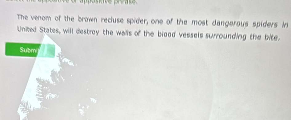 ppositive phrase . 
The venom of the brown recluse spider, one of the most dangerous spiders in 
United States, will destroy the walls of the blood vessels surrounding the bite. 
Submi