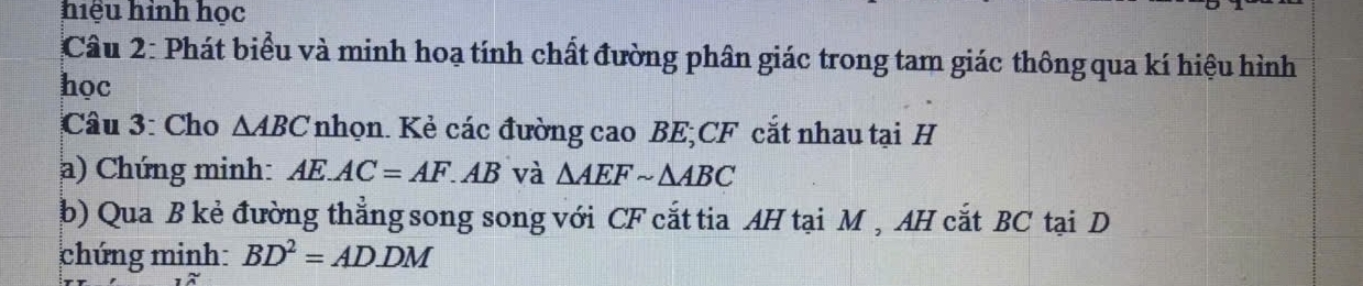 hiệu hình học 
Câu 2: Phát biểu và minh hoạ tính chất đường phân giác trong tam giác thông qua kí hiệu hình 
học 
Câu 3: Cho △ ABC nhọn. Kẻ các đường cao BE; CF cắt nhau tại H
a) Chứng minh: AE.AC=AF.AB và △ AEFsim △ ABC
b) Qua B kẻ đường thẳng song song với CF cắt tia AH tại M , AH cắt BC tại D
chứng minh: BD^2=ADDM