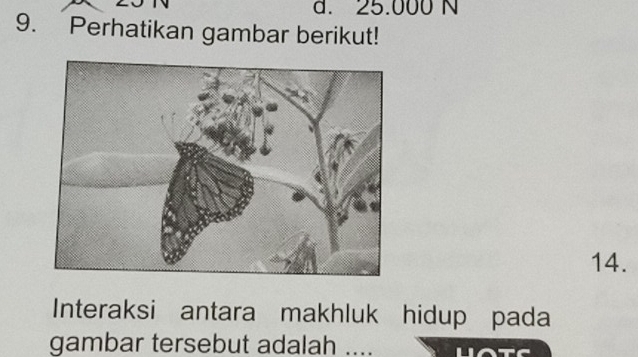 d. 25.000 N
9. Perhatikan gambar berikut!
14.
Interaksi antara makhluk hidup pada
gambar tersebut adalah ....