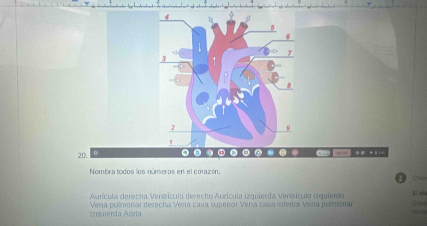 Nombra todos los números en el corazón.
Chrs
Aurícula derecha Ventrículo derecho Aurícula izquierda Ventrículo izquierdo
El cha
Vena pulmonar derecha Vena cava superior Vena cava inferior Vena pulmonar
Gued
izquierda Aorta