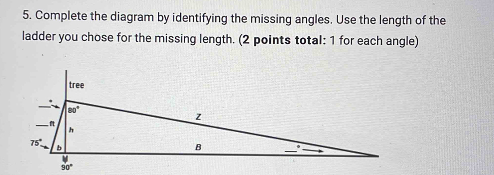 Solved: Complete the diagram by identifying the missing angles. Use the ...