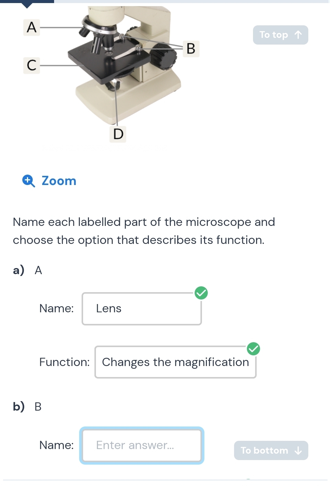 To top ↑ 
Zoom 
Name each labelled part of the microscope and 
choose the option that describes its function. 
a) A 
Name: Lens 
Function: Changes the magnification 
b B 
Name: Enter answer... 
To bottom J