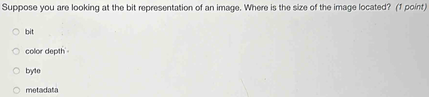 Suppose you are looking at the bit representation of an image. Where is the size of the image located? (1 point)
bit
color depth
byte
metadata