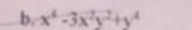 x^4-3x^2y^2+y^4