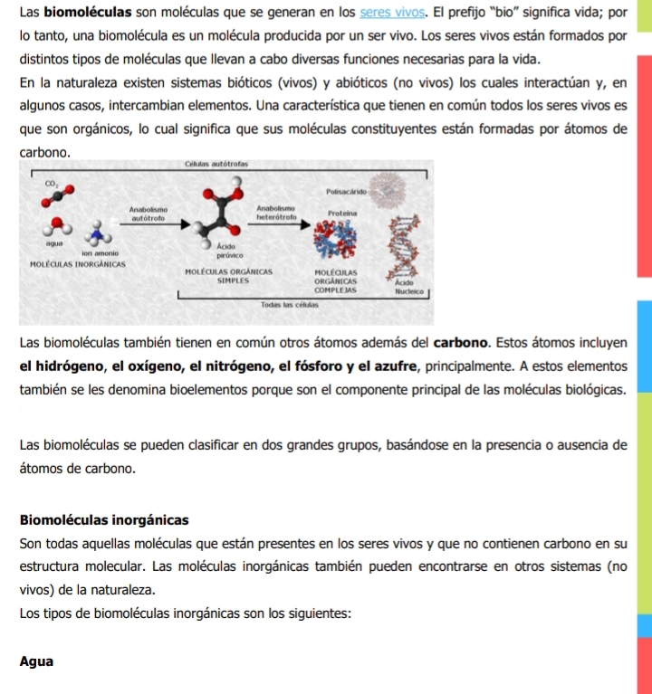 Las biomoléculas son moléculas que se generan en los seres vivos. El prefijo “bio” significa vida; por
lo tanto, una biomolécula es un molécula producida por un ser vivo. Los seres vivos están formados por
distintos tipos de moléculas que llevan a cabo diversas funciones necesarias para la vida.
En la naturaleza existen sistemas bióticos (vivos) y abióticos (no vivos) los cuales interactúan y, en
algunos casos, intercambian elementos. Una característica que tienen en común todos los seres vivos es
que son orgánicos, lo cual significa que sus moléculas constituyentes están formadas por átomos de
carbono.
Las biomoléculas también tienen en común otros átomos además del carbono. Estos átomos incluyen
el hidrógeno, el oxígeno, el nitrógeno, el fósforo y el azufre, principalmente. A estos elementos
también se les denomina bioelementos porque son el componente principal de las moléculas biológicas.
Las biomoléculas se pueden clasificar en dos grandes grupos, basándose en la presencia o ausencia de
átomos de carbono.
Biomoléculas inorgánicas
Son todas aquellas moléculas que están presentes en los seres vivos y que no contienen carbono en su
estructura molecular. Las moléculas inorgánicas también pueden encontrarse en otros sistemas (no
vivos) de la naturaleza.
Los tipos de biomoléculas inorgánicas son los siguientes:
Agua