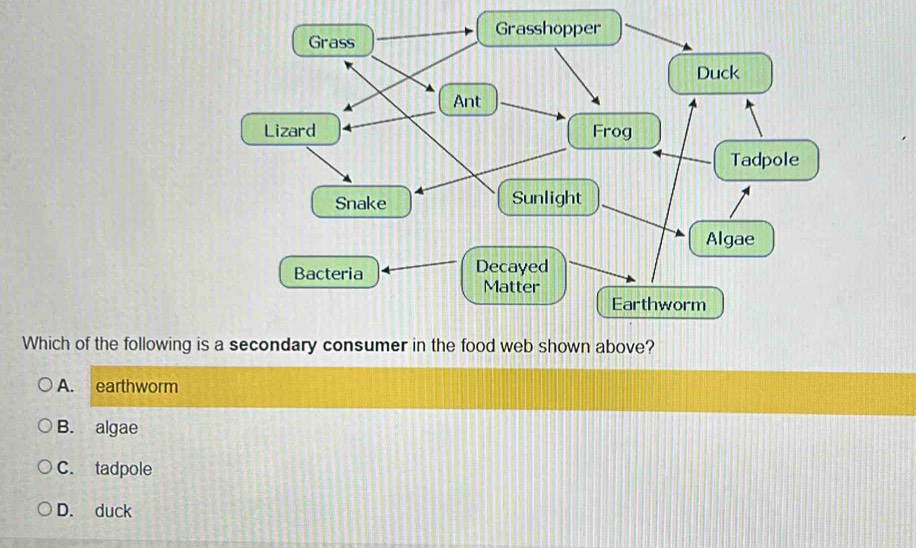 Which of the following
A. earthworm
B. algae
C. tadpole
D. duck