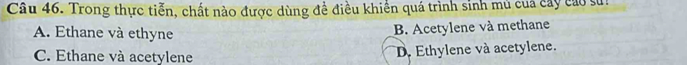 Trong thực tiễn, chất nào được dùng đề điều khiền quá trình sinh mú của cây cao sửh
A. Ethane và ethyne
B. Acetylene và methane
C. Ethane và acetylene D. Ethylene và acetylene.