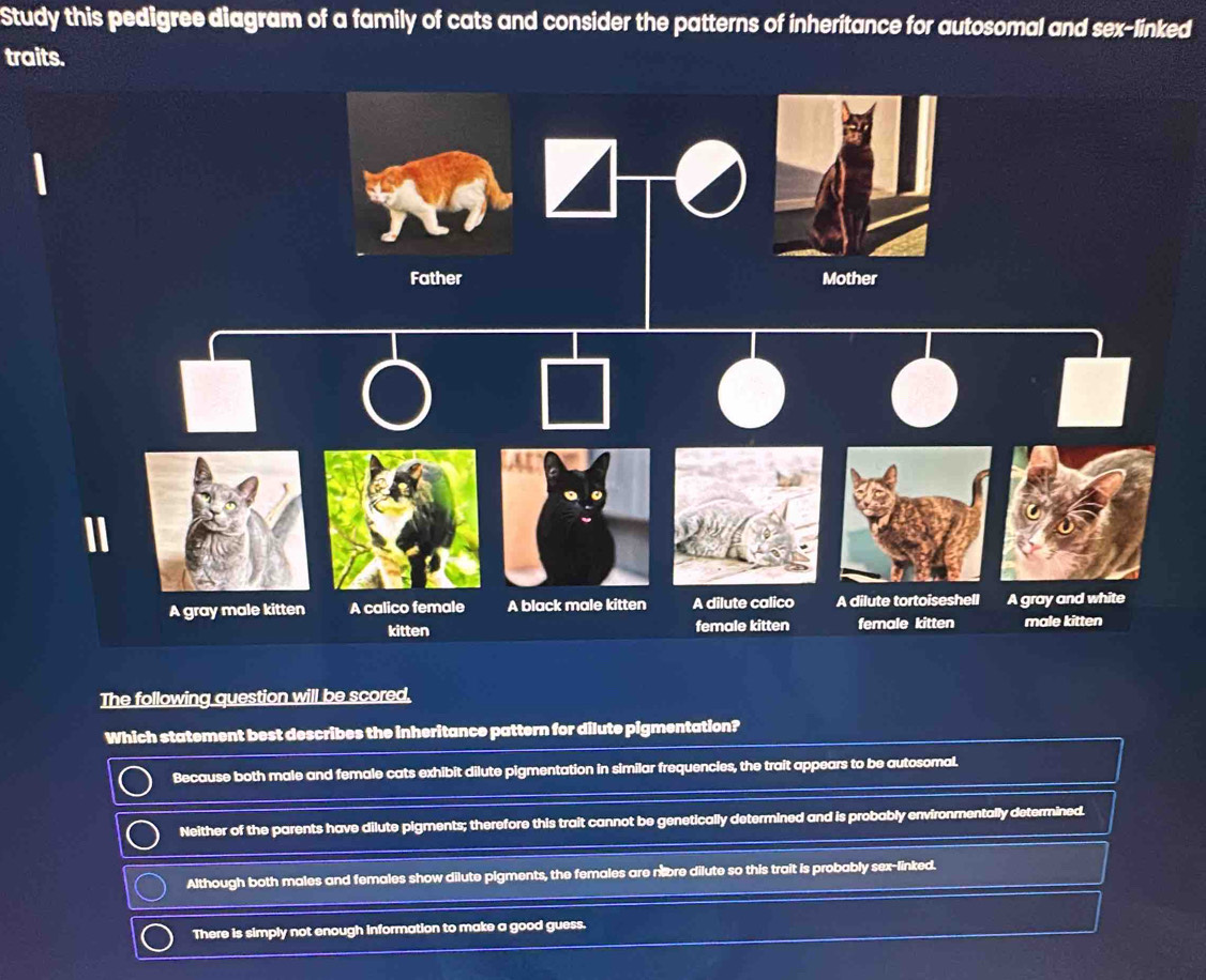 Solved: Study this pedigree diagram of a family of cats and consider ...