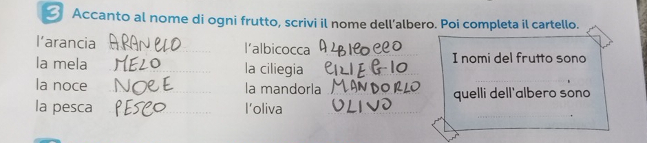 Accanto al nome di ogni frutto, scrivi il nome dell’albero. Poi completa il cartello. 
larancia _l'albicocca 
_I nomi del frutto sono 
la mela _la ciliegia 
la noce _la mandorla_ 
_ 
_ 
quelli dell'albero sono 
la pesca _l’oliva_ 
_.