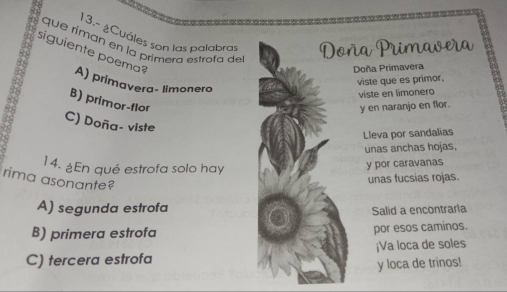 13.- ¿Cuáles son las palabras
que riman en la primera éstrofa de
Primave
siguiente poema?
Doña Primavera
viste que es primor,
A) primavera- limonero
viste en limonero
B) primor-flor
y en naranjo en flor.
C) Doña- viste
Lleva por sandalias
unas anchas hojas,
14. ¿En qué estrofa solo hay
y por caravanas
rima asonante?
unas fucsias rojas.
A) segunda estrofa
Salid a encontrarla
B) primera estrofa
por esos caminos.
C) tercera estrofa ¡Va loca de soles
y loca de trinos!