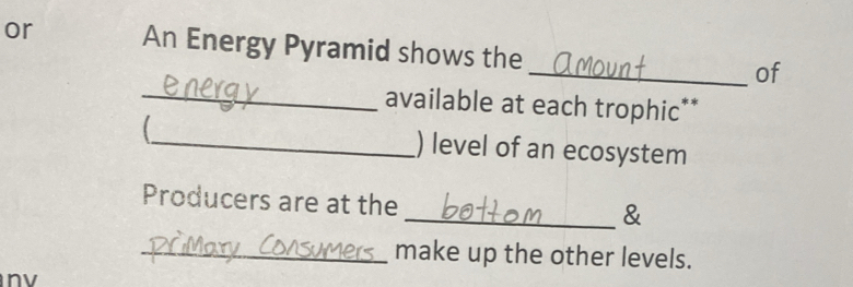 or An Energy Pyramid shows the _of 
_available at each trophic** 
_ ) level of an ecosystem 
Producers are at the 
_& 
_make up the other levels. 
nv