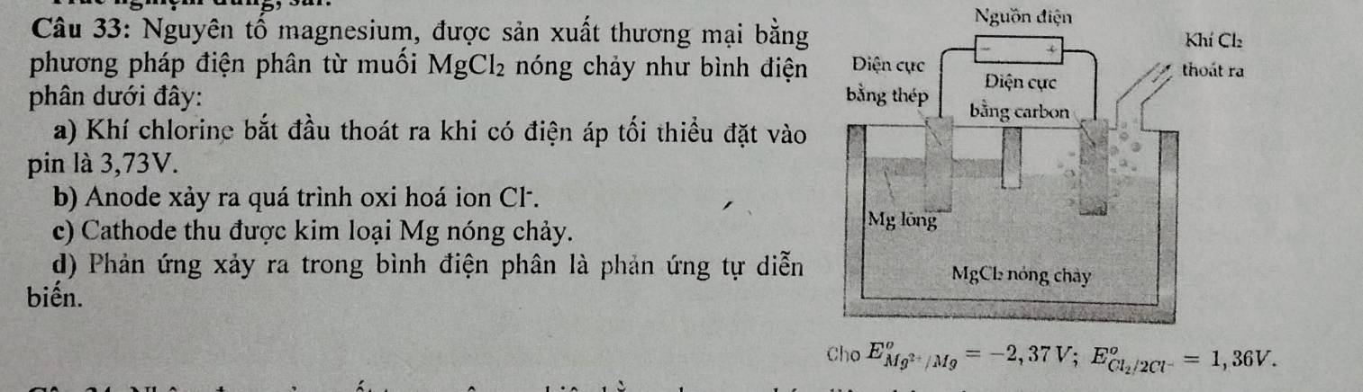 Nguồn điện
Câu 33: Nguyên tố magnesium, được sản xuất thương mại bằng
phương pháp điện phân từ muối MgCl₂ nóng chảy như bình điện
phân dưới đây: 
a) Khí chlorine bắt đầu thoát ra khi có điện áp tối thiều đặt vào
pin là 3,73V.
b) Anode xảy ra quá trình oxi hoá ion Cl-.
c) Cathode thu được kim loại Mg nóng chảy.
d) Phản ứng xảy ra trong bình điện phân là phản ứng tự diễn
biến.
E_Mg^(2+)/Mg°=-2,37V; E_Cl_2/2Cl^-°=1,36V.