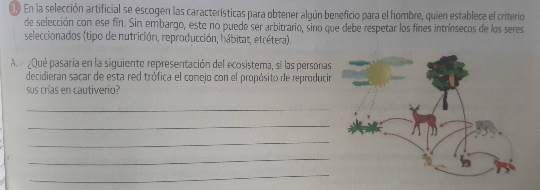 En la selección artificial se escogen las características para obtener algún beneficio para el hombre, quien establece el criterio 
de selección con ese fin. Sin embargo, este no puede ser arbitrario, sino que debe respetar los fines intrínsecos de los seres 
seleccionados (tipo de nutrición, reproducción, hábitat, etcétera). 
A ¿Qué pasaría en la siguiente representación del ecosistema, si las personas 
decidieran sacar de esta red trófica el conejo con el propósito de reproducir 
sus crías en cautiverio? 
_ 
_ 
_ 
_ 
_